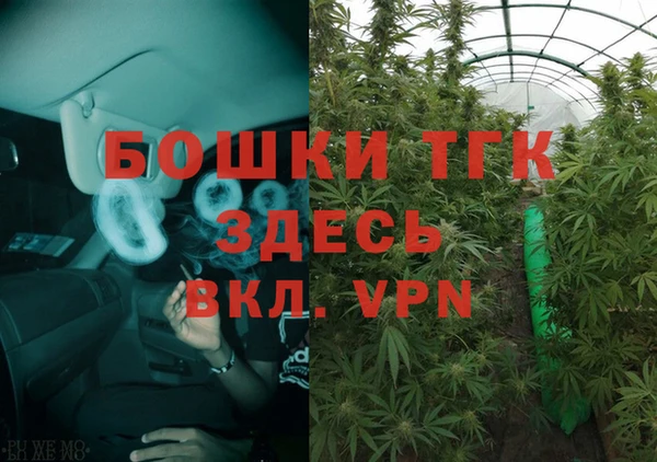 PSILOCYBIN Верхний Тагил