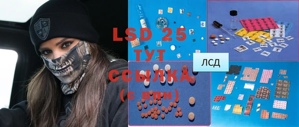 PSILOCYBIN Верхний Тагил