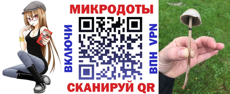 Псилоцибиновые грибы Psilocybine cubensis  Альметьевск 